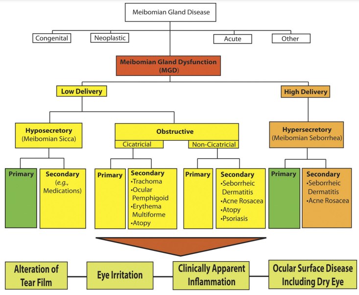 Clinical classification chart of meibomian gland dysfunction showing low-delivery and high-delivery states