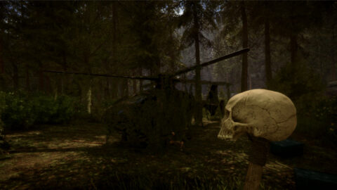 Sons of the Forest survival