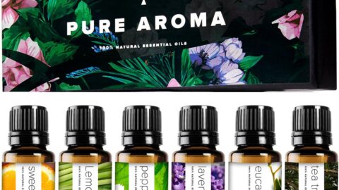 Pure Aroma Essential Oils Aromatherapy Set — 6 x 10ML oils