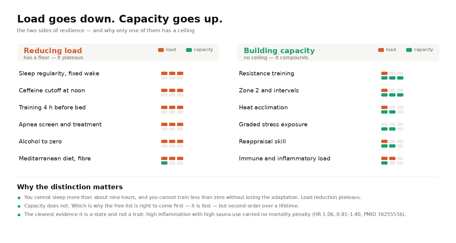 Two-column comparison of levers that reduce load against levers that build capacity, showing load reduction plateaus while capacity building compounds over time