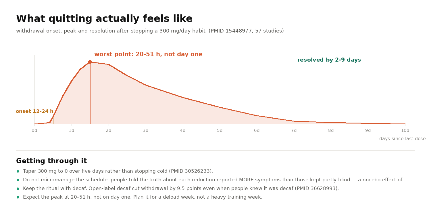 Graph of caffeine withdrawal severity over ten days, showing onset at 12 to 24 hours, peak at 20 to 51 hours and resolution by 2 to 9 days, with a taper protocol